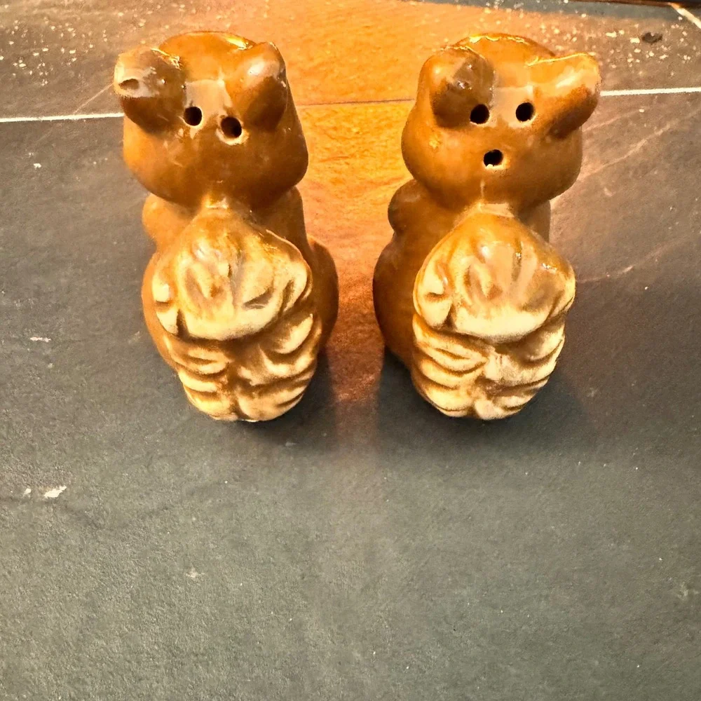 Cute Ceramic Squirrel Salt and Pepper‎ Shaker Set Brown Kitchen Decor